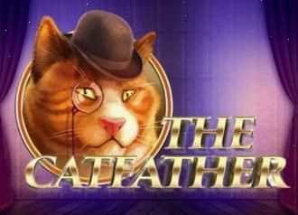 The Catfather играть в казино Франк